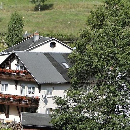 Fewo Angelika Dg Rohrbach  Exterior photo